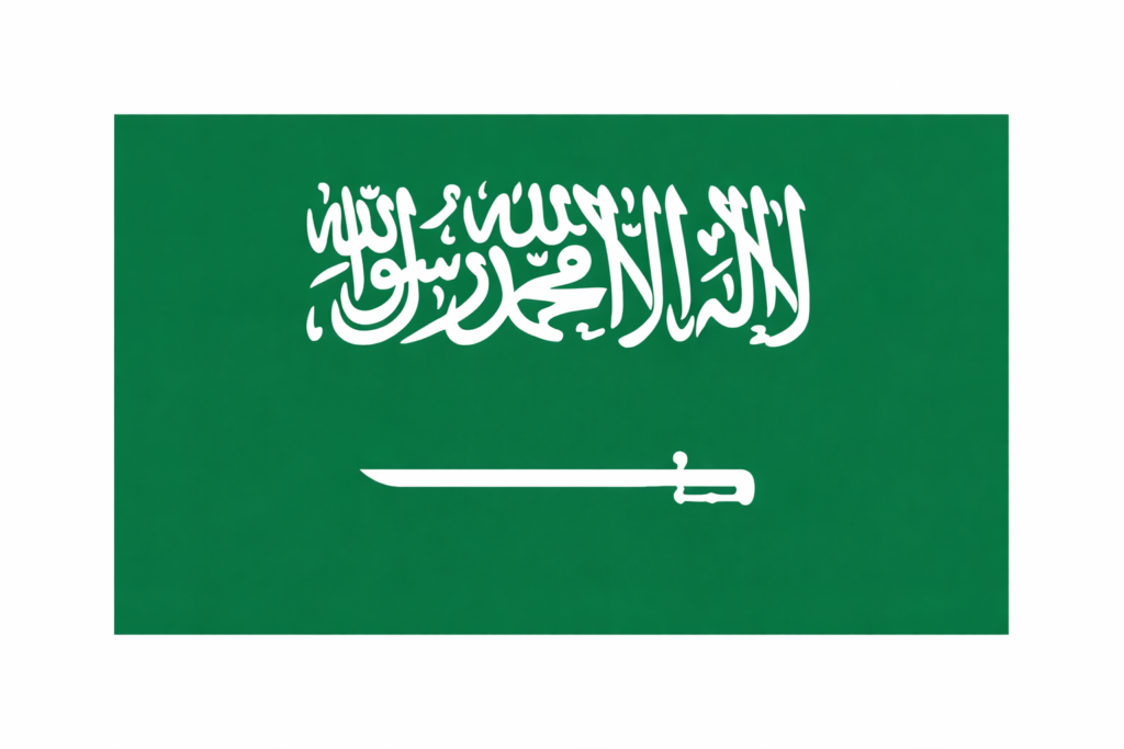 Google Ads services in Saudi Arabia